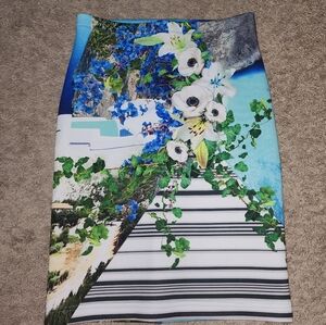 Clover Canyon Women's Skirt